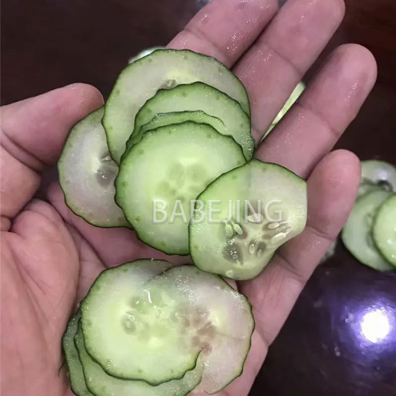 Electric Mini Scallion Chopper - Commercial Kitchen Appliances บทวิจารณ์และราคา